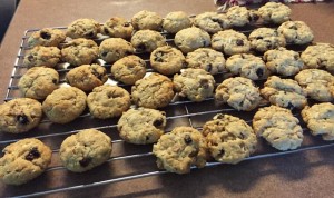 Lunch Box Cookies