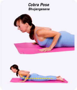 Photo courtesy of yogaoutlet.com